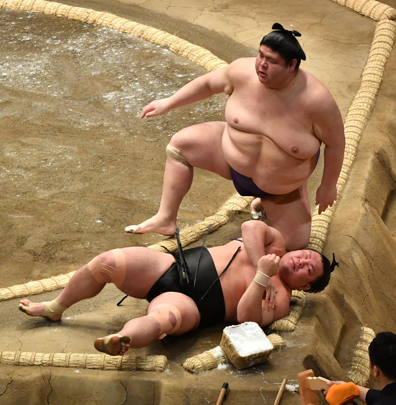 明瀬山（上）は照強を突き落としで破る（撮影・柴田隆二）