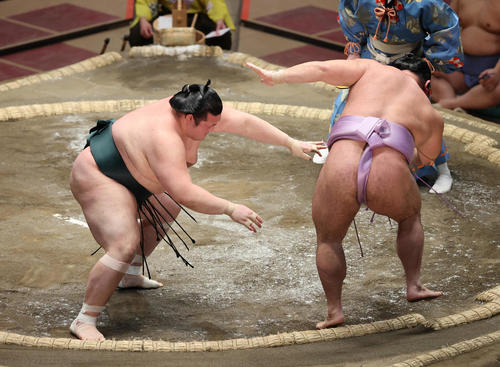 琴恵光（右）を押し出しで破る豊山（撮影・野上伸悟）