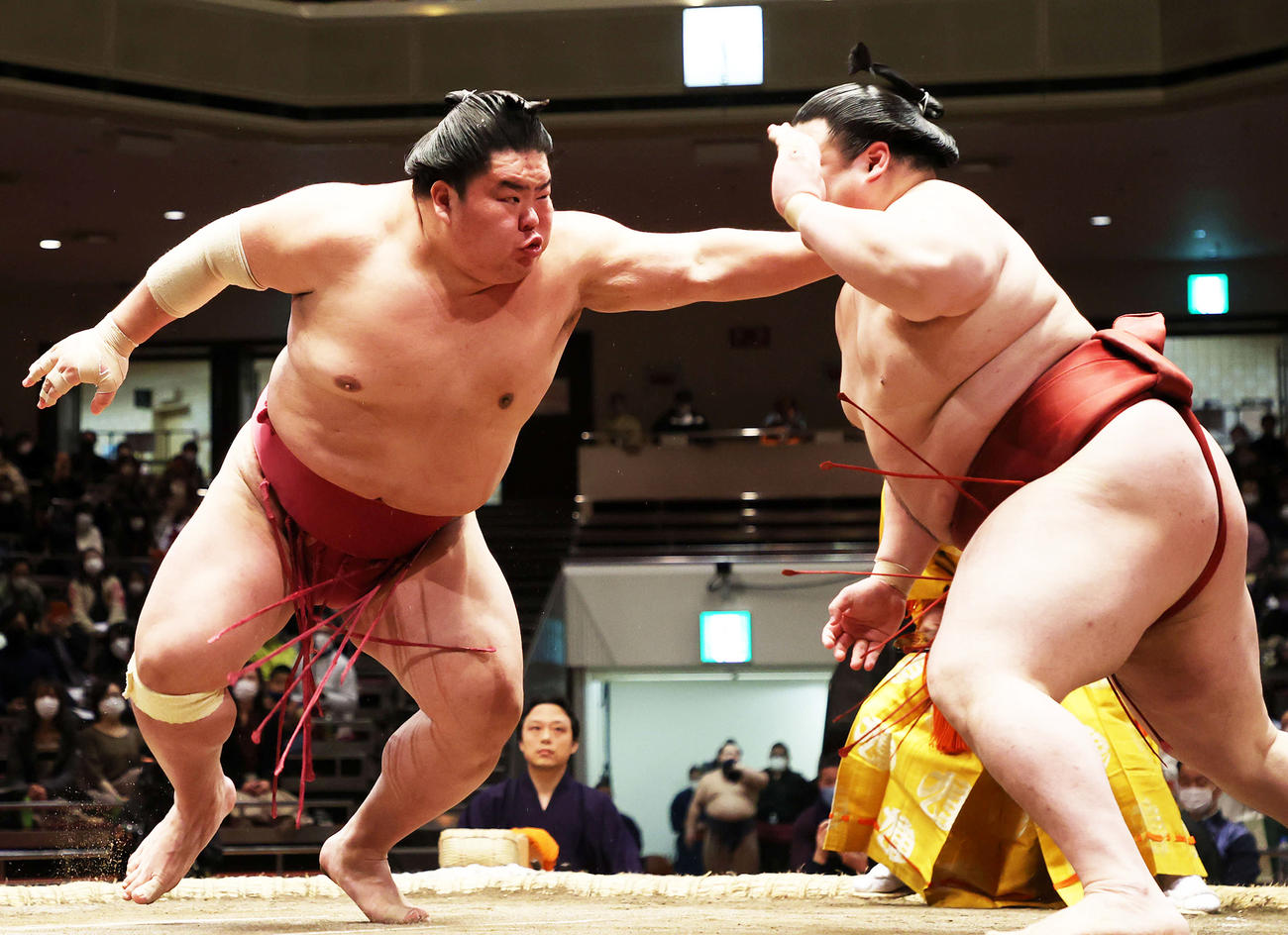 隆の勝（右）を押し出しで破る大栄翔（撮影・鈴木正人）