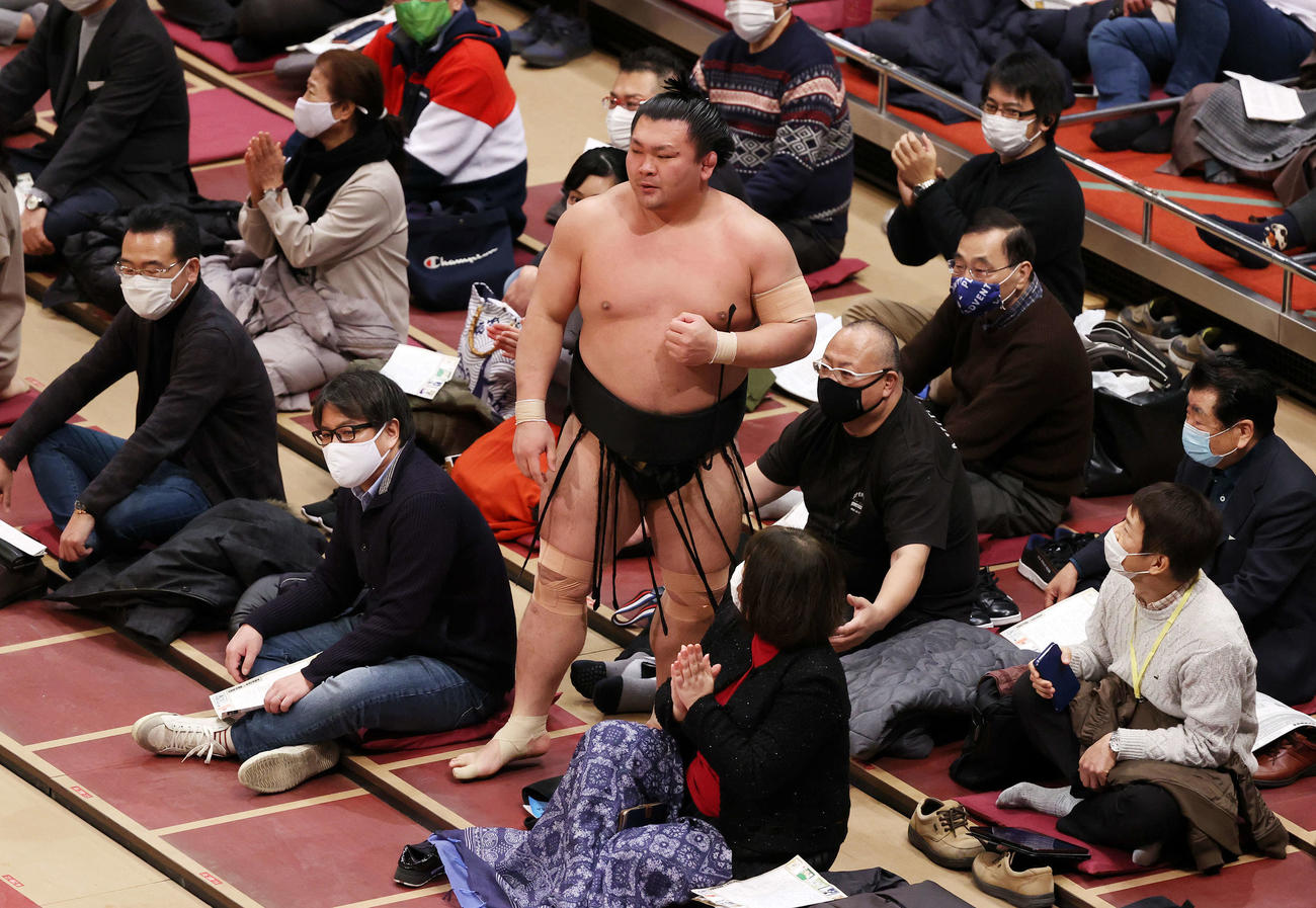 佐田の海に送り出しで敗れマス席付近まで行く照強（撮影・鈴木正人）