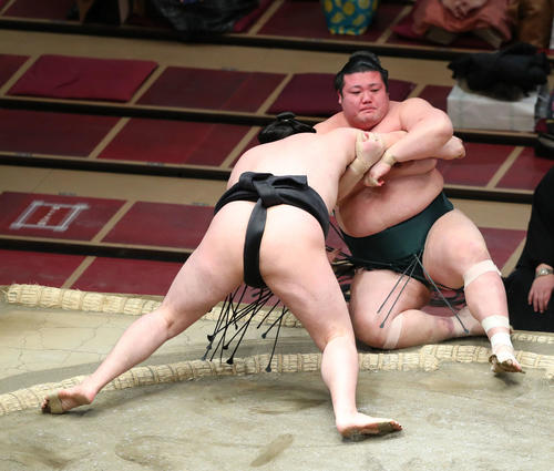 竜電（左）に寄り倒しで敗れる豊山（撮影・河田真司）