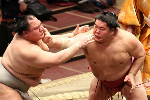 北勝富士（左）を突っ張る大栄翔（撮影・河野匠）