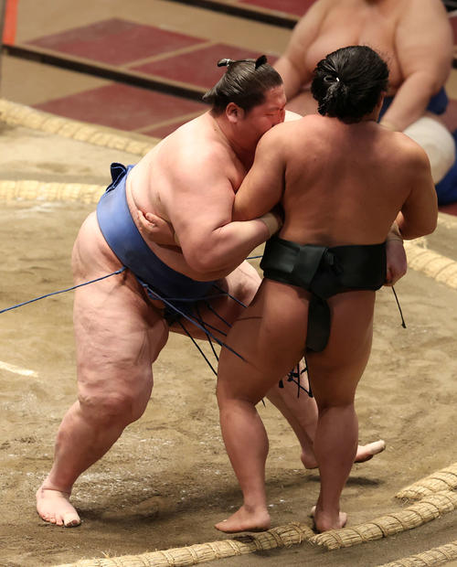 翠富士（右）を寄り切る逸ノ城（撮影・河野匠）