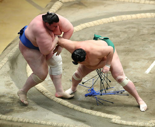 碧山（左）を寄り切りで破る佐田の海（撮影・河田真司）