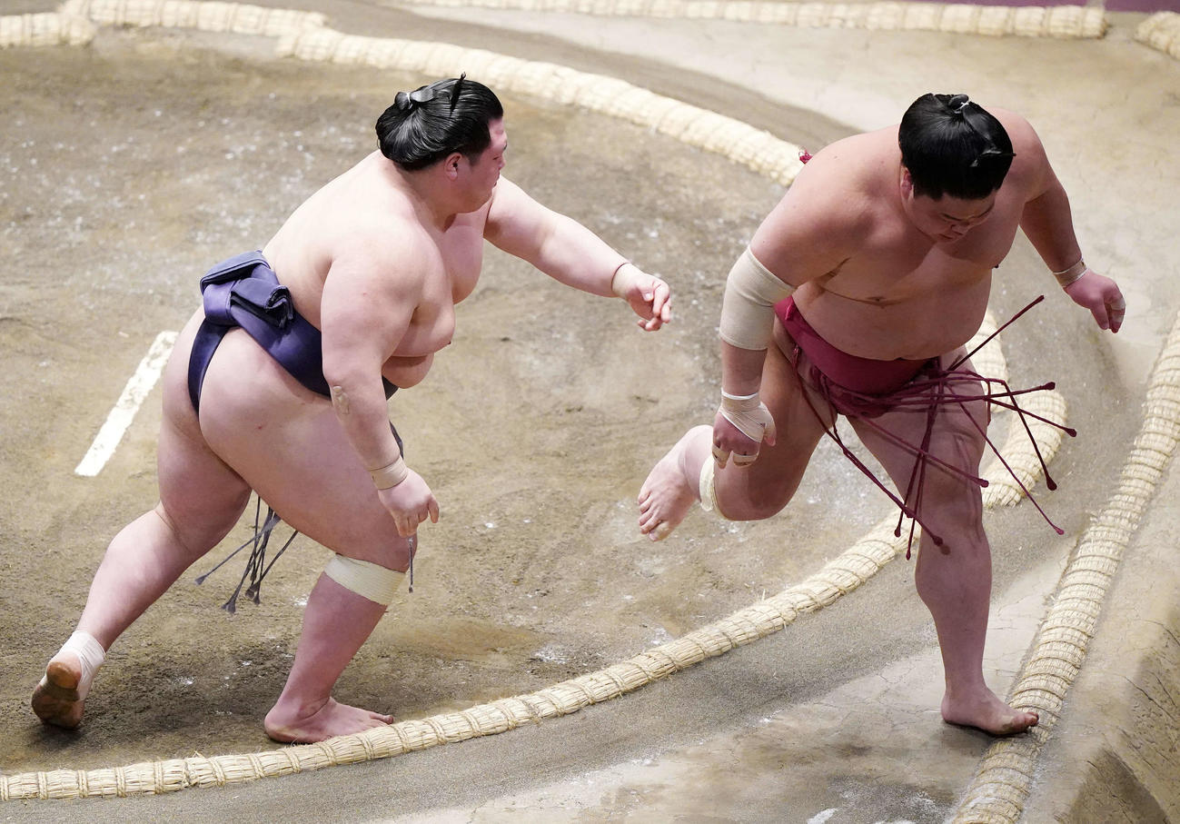 阿武咲（左）に突き落としで敗れた大栄翔（撮影・江口和貴）