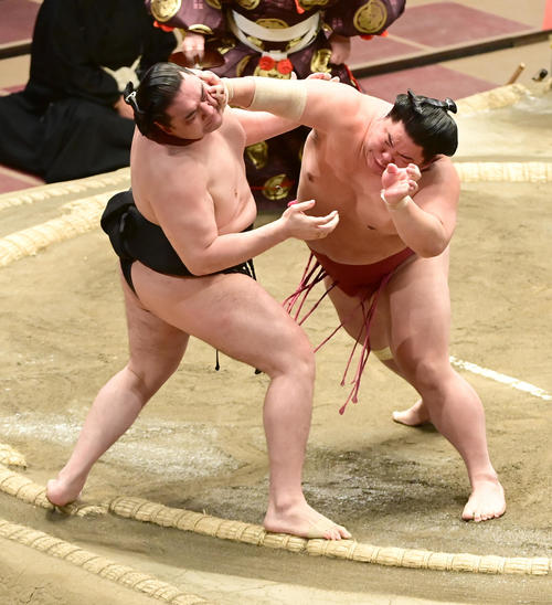 大栄翔（右）は竜電を押し出しで破る（撮影・小沢裕）