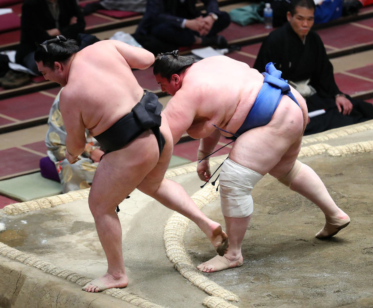 竜電（左）を押し出し出しで破る碧山（撮影・河田真司）