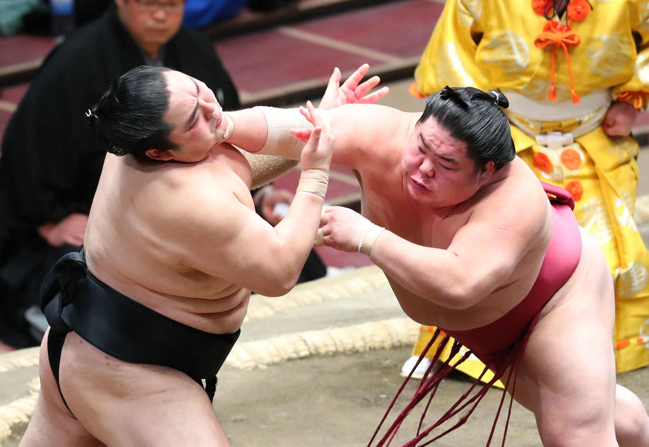 隠岐の海（左）を激しく攻める大栄翔（撮影・河田真司）