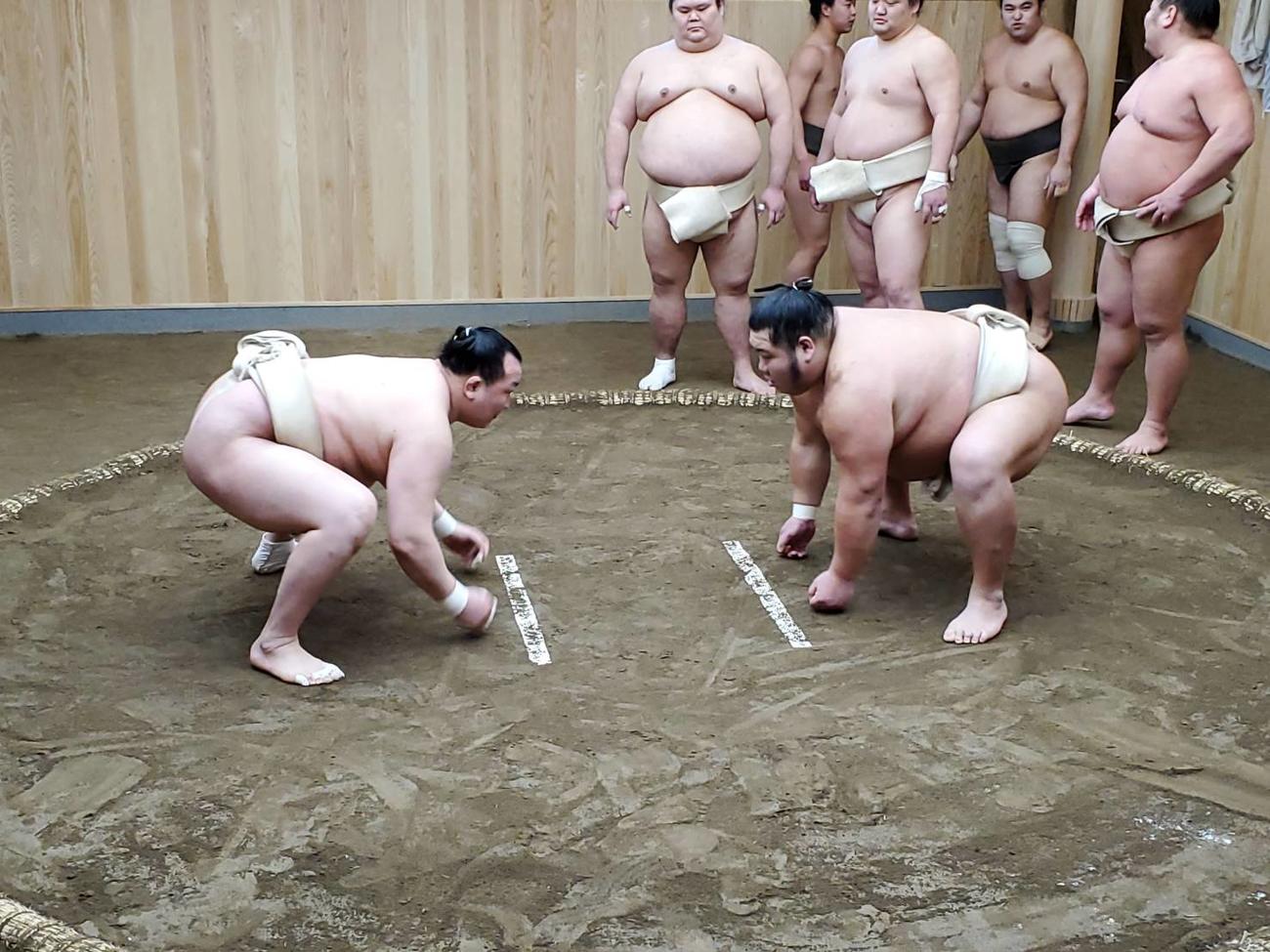 東京都葛飾区奥戸の新拠点で稽古を行う九重部屋の千代翔馬（左）と千代大龍（日本相撲協会提供）