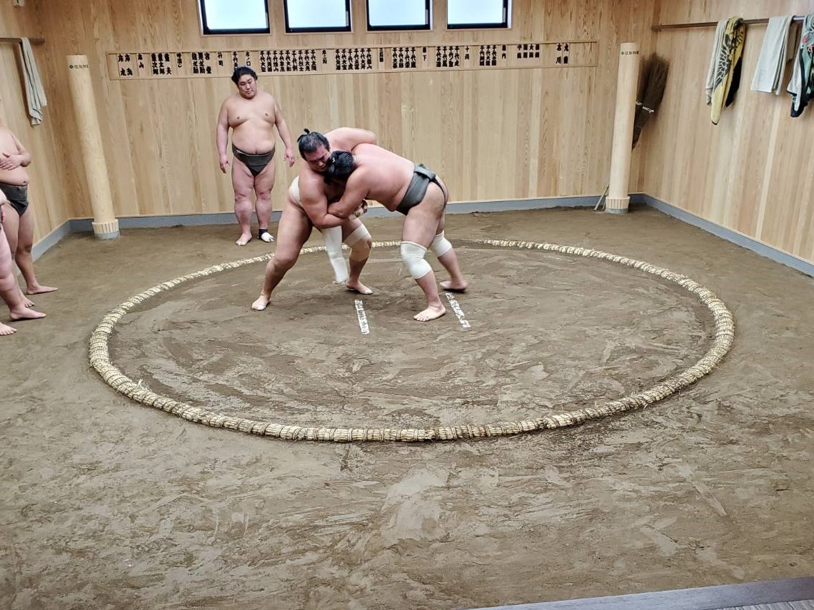 東京都葛飾区奥戸の新拠点で稽古を行う九重部屋の力士（日本相撲協会提供）