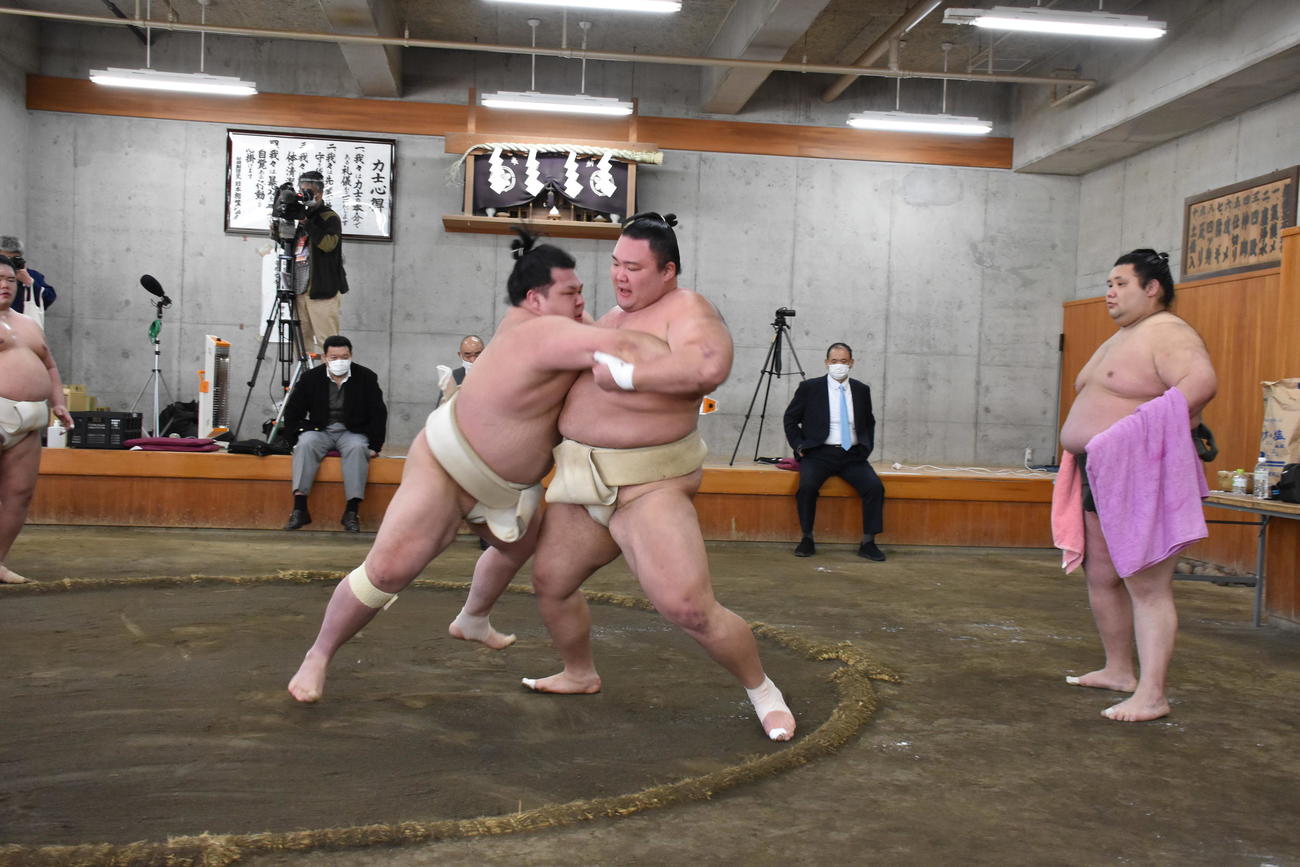 合同稽古で申し合いを行う朝乃山（右）と阿武咲（代表撮影）