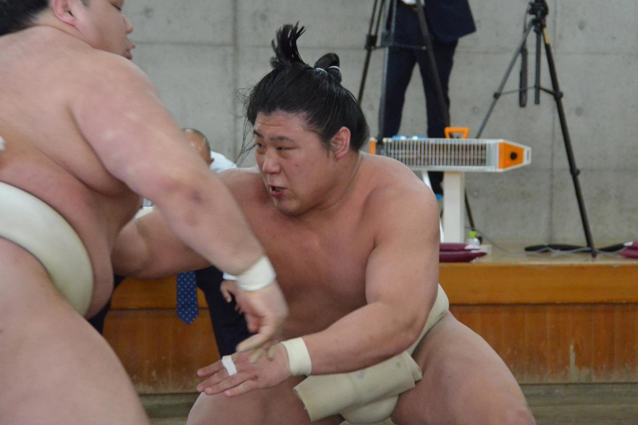 合同稽古で関取衆との申し合いに参加する若隆景（代表撮影）