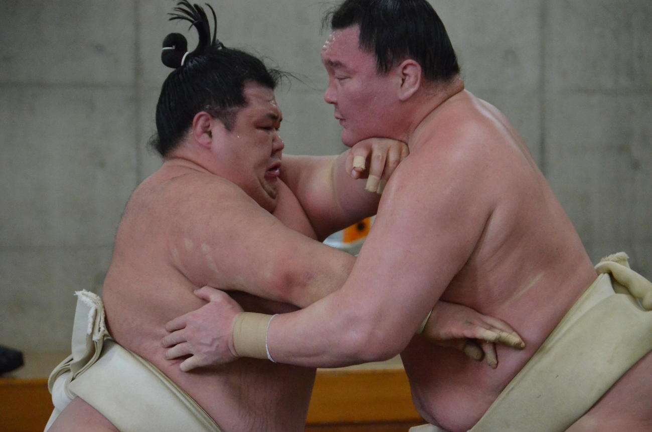 合同稽古で白鵬の指名を受けて三番稽古を行う阿武咲（左）（代表撮影）