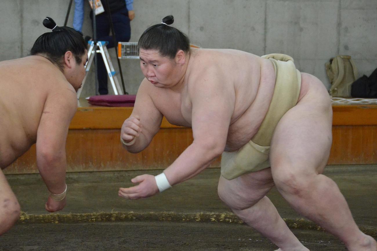 合同稽古で関取衆との申し合いに加わる逸ノ城（右）（代表撮影）