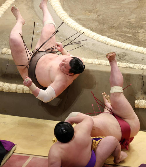 大栄翔（右）を寄り倒しで破った白鵬（撮影・鈴木正人）