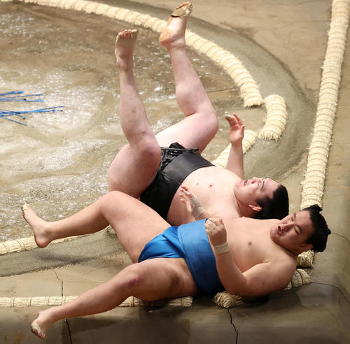 竜電（後方）を浴びせ倒しで破る豊昇龍（撮影・鈴木正人）