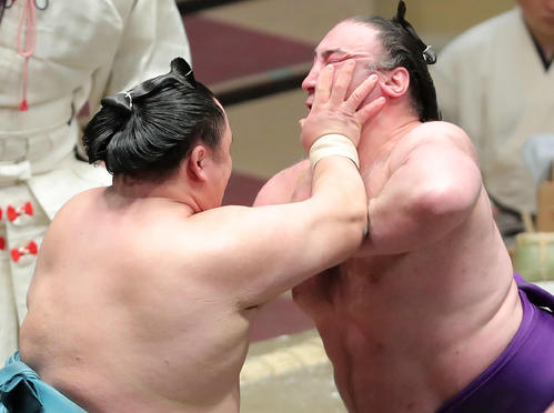 玉鷲（左）の攻めに耐える栃ノ心（撮影・河田真司）