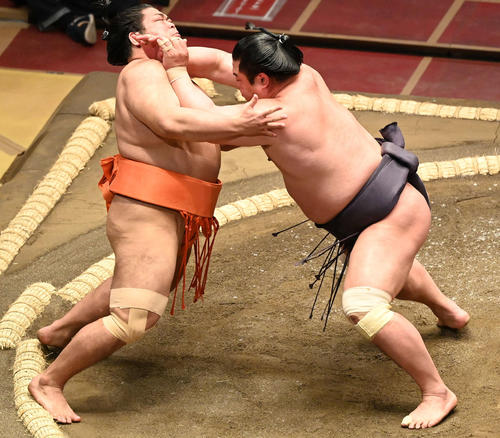 志摩ノ海（左）を攻める破る妙義龍（撮影・鈴木みどり）