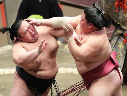 大栄翔（右）の攻めに耐える貴景勝（撮影・河田真司）