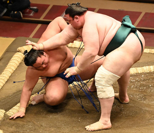 琴勝峰（左）を突き出しで破る碧山（撮影・鈴木みどり）