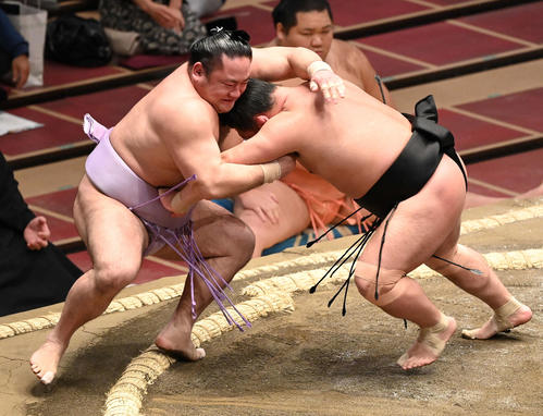 琴恵光（左）を押し出しで破る照強（撮影・鈴木みどり）