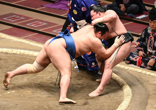 翠富士（右）を寄り倒しで破る千代の国（撮影・鈴木みどり）