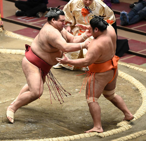 志摩ノ海（左）を押し出しで破る高安（撮影・鈴木みどり）
