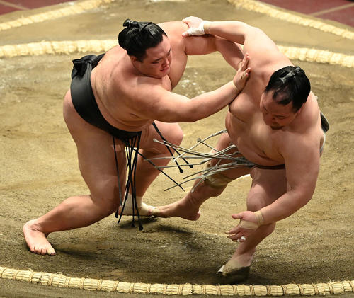 北勝富士（右）を押し倒しで破る朝乃山（撮影・鈴木みどり）
