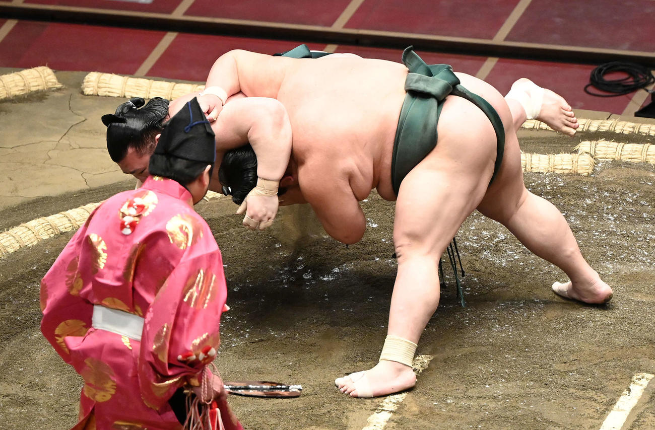 豊山（左奥）を突き落としで破る大翔丸（撮影・鈴木みどり）