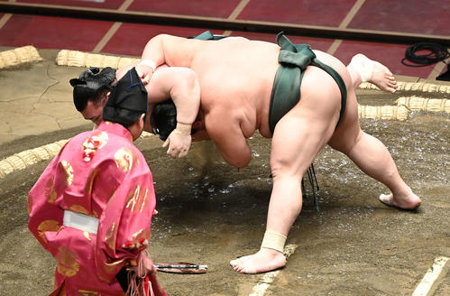 豊山（左奥）を突き落としで破る大翔丸（撮影・鈴木みどり）