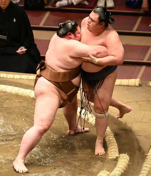 英乃海（右）を寄り切りで破る剣翔（撮影・鈴木みどり）