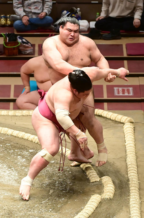 高安は大栄翔（手前）を突き落としで破る（撮影・小沢裕）