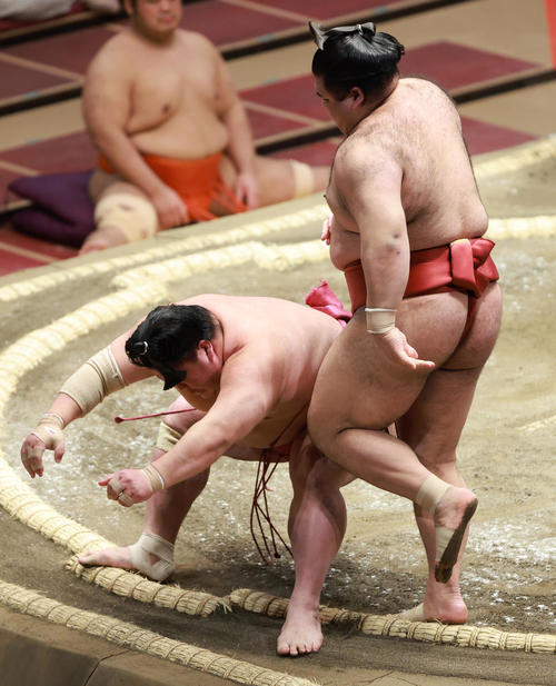 大栄翔（左）を突き落としで破る高安（撮影・中島郁夫）