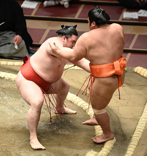 志摩ノ海（右）を押し出しで破る隆の勝（撮影・鈴木みどり）