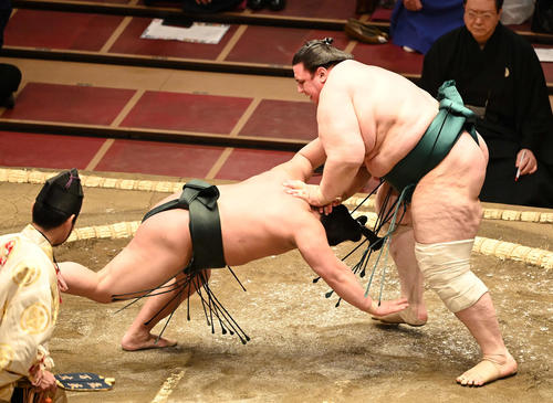 翠富士（左）をはたき込みで破る碧山（撮影・鈴木みどり）