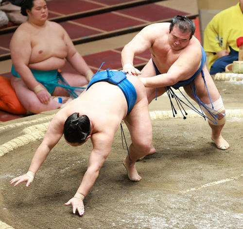 豊昇龍（左）を送り倒しで破る千代の国（撮影・中島郁夫）