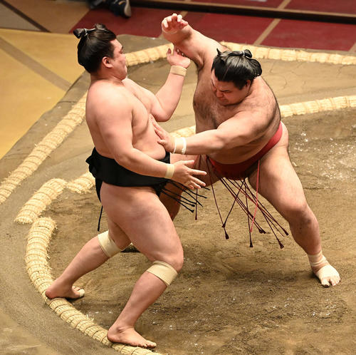 霧馬山（左）を突き出しで破る高安（撮影・鈴木みどり）