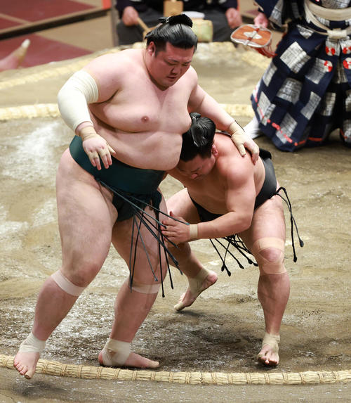 豊山（左）を寄り切りで破る照強（撮影・中島郁夫）