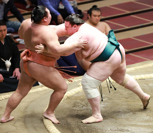 千代大龍（左）を押し出しで破る碧山（撮影・中島郁夫）