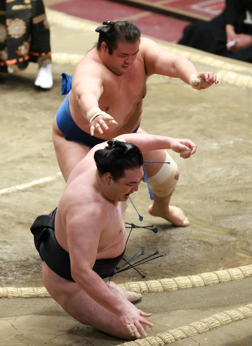 竜電（下）を突き倒しで破る千代の国（撮影・中島郁夫）