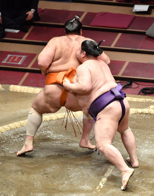明瀬山（右）は魁聖を送り出しで破る（撮影・柴田隆二）