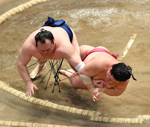 宝富士（左）は大栄翔を押し倒しで破る（撮影・柴田隆二）