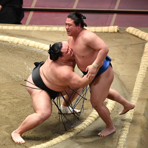 朝乃山（左）は若隆景を寄り切りで破る（撮影・柴田隆二）
