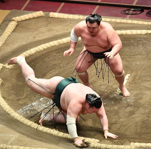 英乃海（上）は豊山を送り倒しで破る（撮影・柴田隆二）