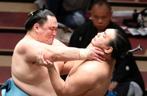 豊昇龍（右）を攻める玉鷲（撮影・鈴木正人）
