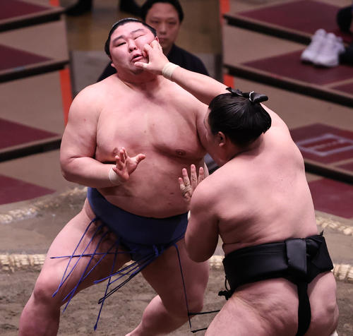 霧馬山（右）の突っ張りを耐える正代（撮影・野上伸悟）