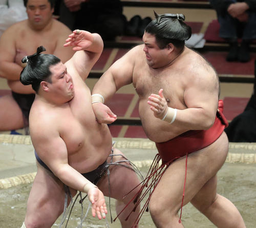 阿武咲（左）を攻める高安（撮影・河田真司）