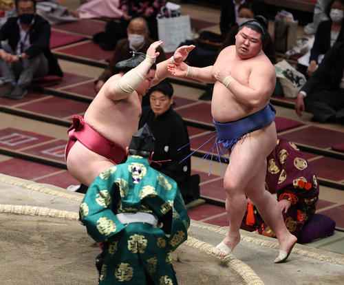 正代（右）を押し出しで破った大栄翔（撮影・野上伸悟）