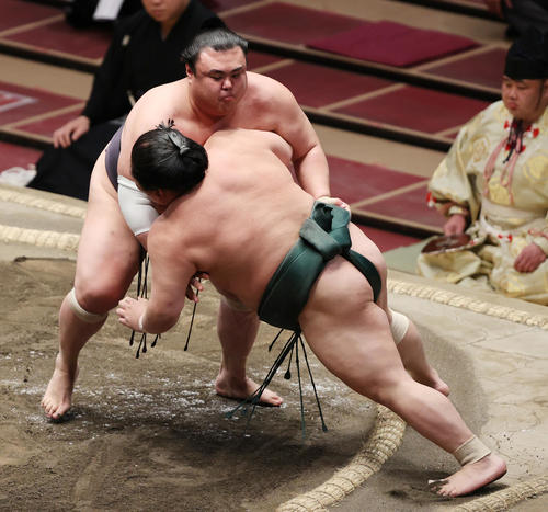大翔丸（右）を寄り切りで破る英乃海（撮影・野上伸悟）