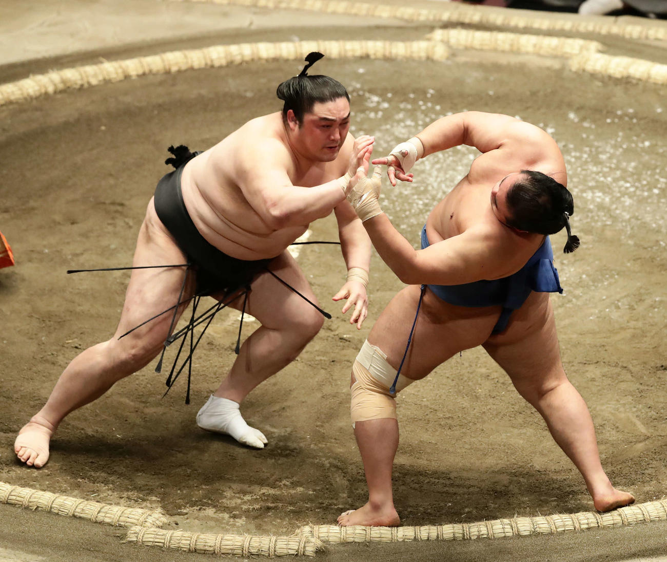 千代の国を押し倒しで破った隠岐の海（撮影・丹羽敏通）